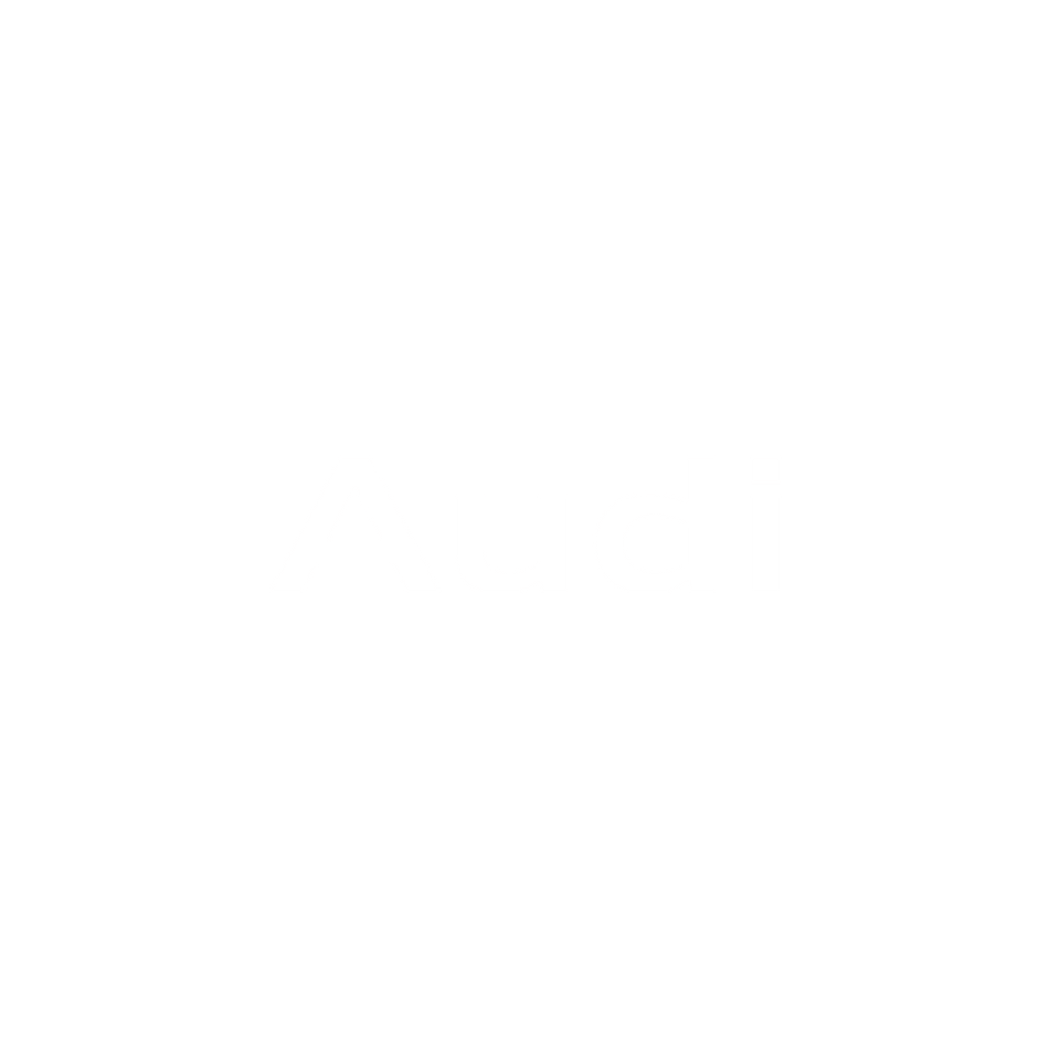 Used Audi Parts